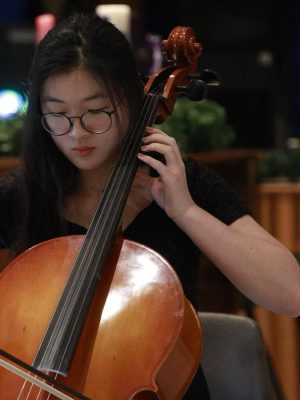 Violin lessons at Charlotte NC, Ballantyne